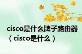 cisco是什么牌子路由器（cisco是什么）