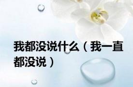 我都没说什么（我一直都没说）