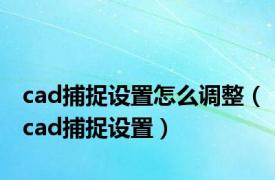 cad捕捉设置怎么调整（cad捕捉设置）