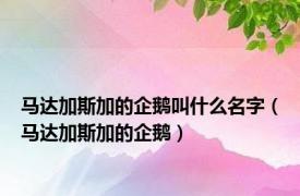 马达加斯加的企鹅叫什么名字（马达加斯加的企鹅）