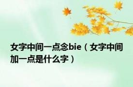 女字中间一点念bie（女字中间加一点是什么字）