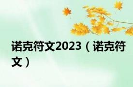 诺克符文2023（诺克符文）