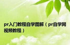 pr入门教程自学图解（pr自学网视频教程）