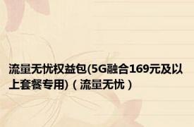 流量无忧权益包(5G融合169元及以上套餐专用)（流量无忧）