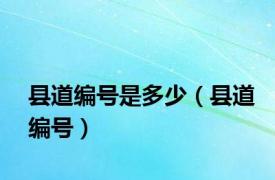 县道编号是多少（县道编号）