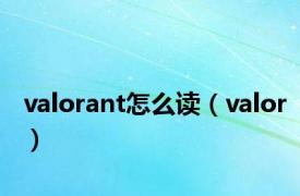 valorant怎么读（valor）