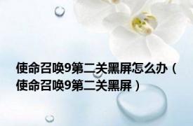 使命召唤9第二关黑屏怎么办（使命召唤9第二关黑屏）