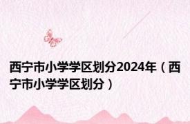 西宁市小学学区划分2024年（西宁市小学学区划分）