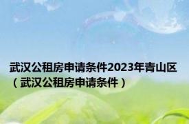 武汉公租房申请条件2023年青山区（武汉公租房申请条件）