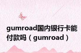 gumroad国内银行卡能付款吗（gumroad）