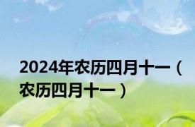 2024年农历四月十一（农历四月十一）