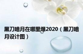 黑刀暗月在哪里爆2020（黑刀暗月设计图）