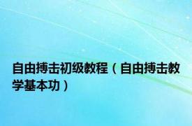 自由搏击初级教程（自由搏击教学基本功）