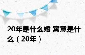 20年是什么婚 寓意是什么（20年）