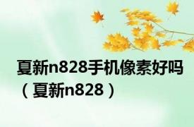 夏新n828手机像素好吗（夏新n828）