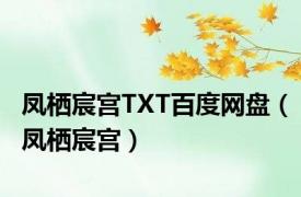 凤栖宸宫TXT百度网盘（凤栖宸宫）