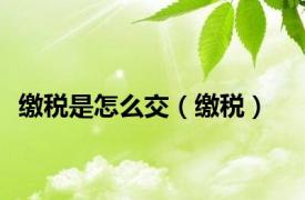 缴税是怎么交（缴税）