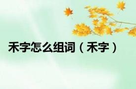 禾字怎么组词（禾字）