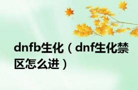 dnfb生化（dnf生化禁区怎么进）