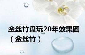 金丝竹盘玩20年效果图（金丝竹）