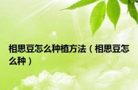 相思豆怎么种植方法（相思豆怎么种）