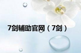 7剑辅助官网（7剑）