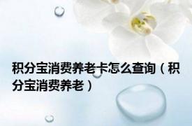 积分宝消费养老卡怎么查询（积分宝消费养老）