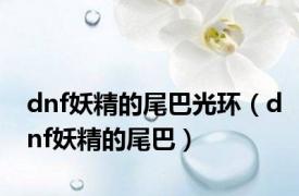 dnf妖精的尾巴光环（dnf妖精的尾巴）