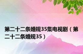 第二十二条婚规35集电视剧（第二十二条婚规35）