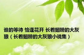 谁的等待 恰逢花开 长着翅膀的大灰狼（长着翅膀的大灰狼小说集）