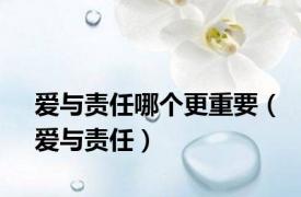 爱与责任哪个更重要（爱与责任）