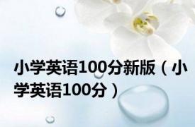 小学英语100分新版（小学英语100分）