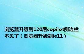 浏览器升级到120后copilot侧边栏不见了（浏览器升级到ie11）