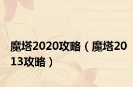 魔塔2020攻略（魔塔2013攻略）