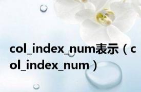 col_index_num表示（col_index_num）