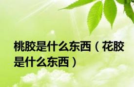 桃胶是什么东西（花胶是什么东西）