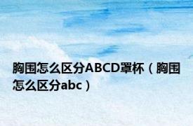 胸围怎么区分ABCD罩杯（胸围怎么区分abc）