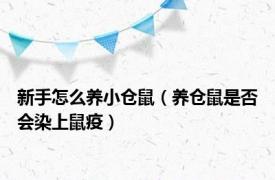 新手怎么养小仓鼠（养仓鼠是否会染上鼠疫）