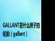 GALLANT是什么牌子的轮胎（gallant）