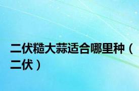 二伏糙大蒜适合哪里种（二伏）