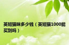 英短猫咪多少钱（英短猫1000能买到吗）