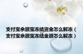 支付宝余额宝冻结资金怎么解冻（支付宝余额宝冻结金额怎么解冻）