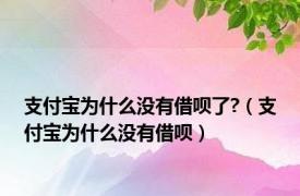 支付宝为什么没有借呗了?（支付宝为什么没有借呗）