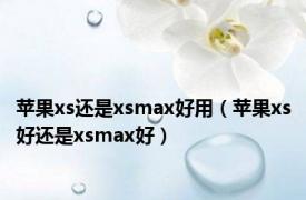 苹果xs还是xsmax好用（苹果xs好还是xsmax好）