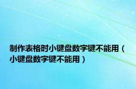 制作表格时小键盘数字键不能用（小键盘数字键不能用）