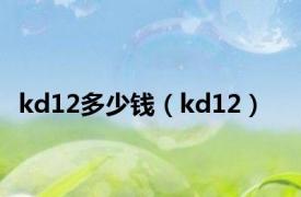 kd12多少钱（kd12）