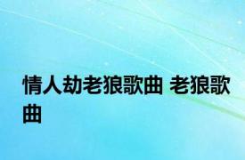 情人劫老狼歌曲 老狼歌曲 