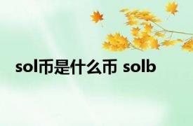 sol币是什么币 solb 