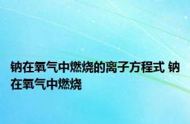 钠在氧气中燃烧的离子方程式 钠在氧气中燃烧 