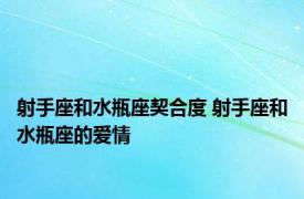 射手座和水瓶座契合度 射手座和水瓶座的爱情 